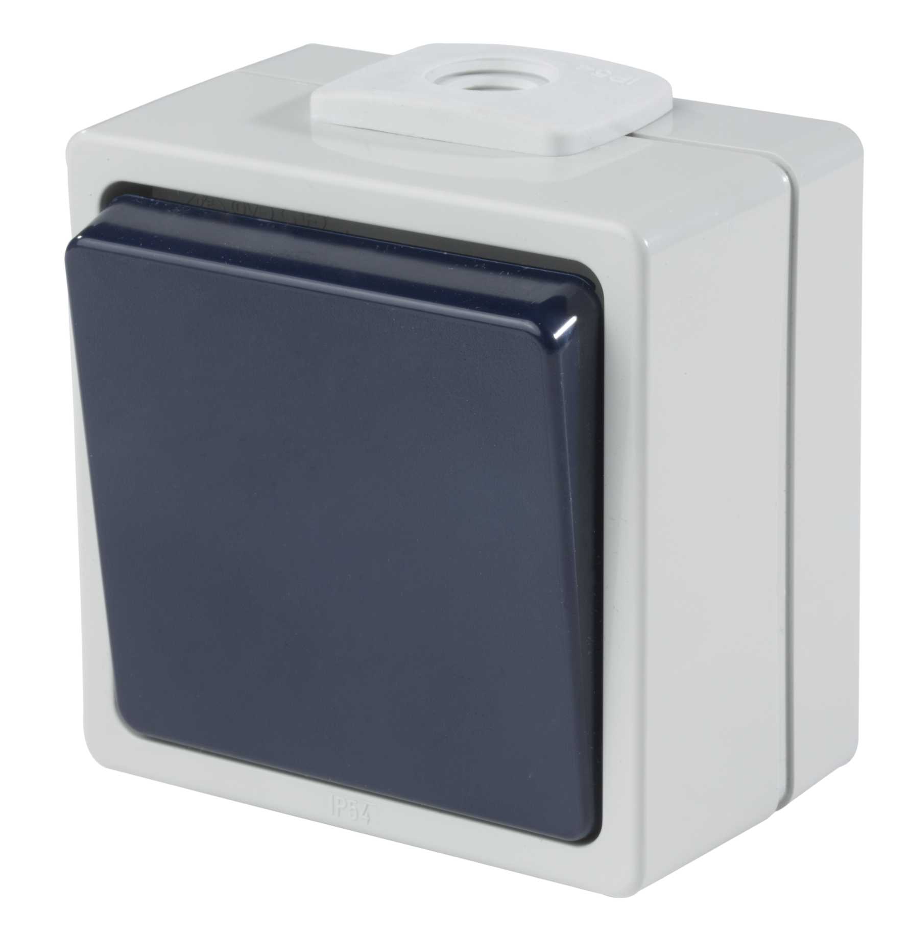 INTERRUPTEUR VA-ET-VIENT 10 A, GRIS/BLEU